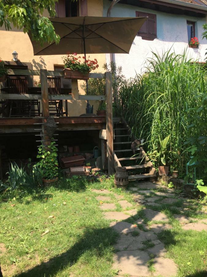 Notre Maison A Eguisheim Kültér fotó